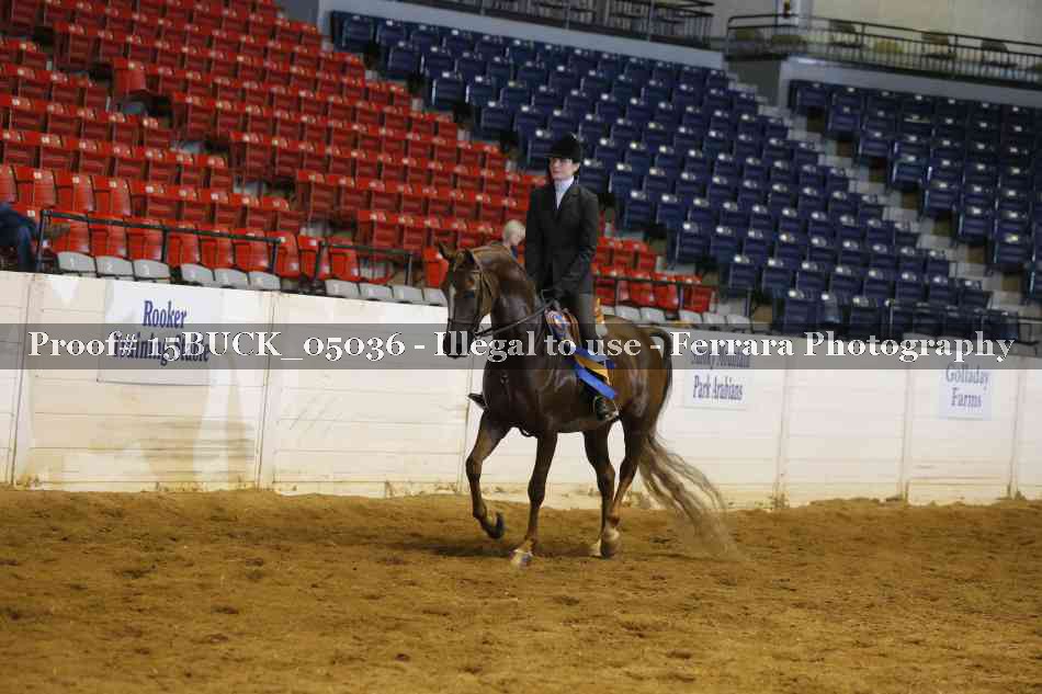 Proof 15BUCK_05036