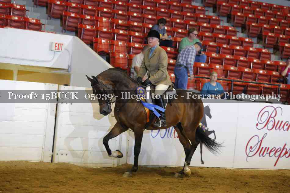 Proof 15BUCK_05039