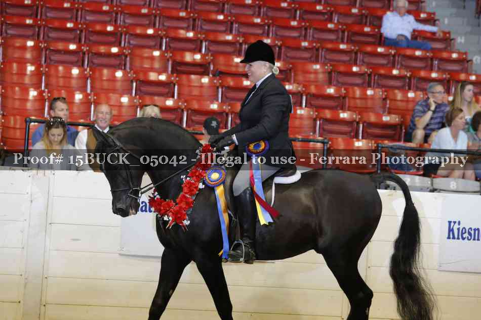 Proof 15BUCK_05042