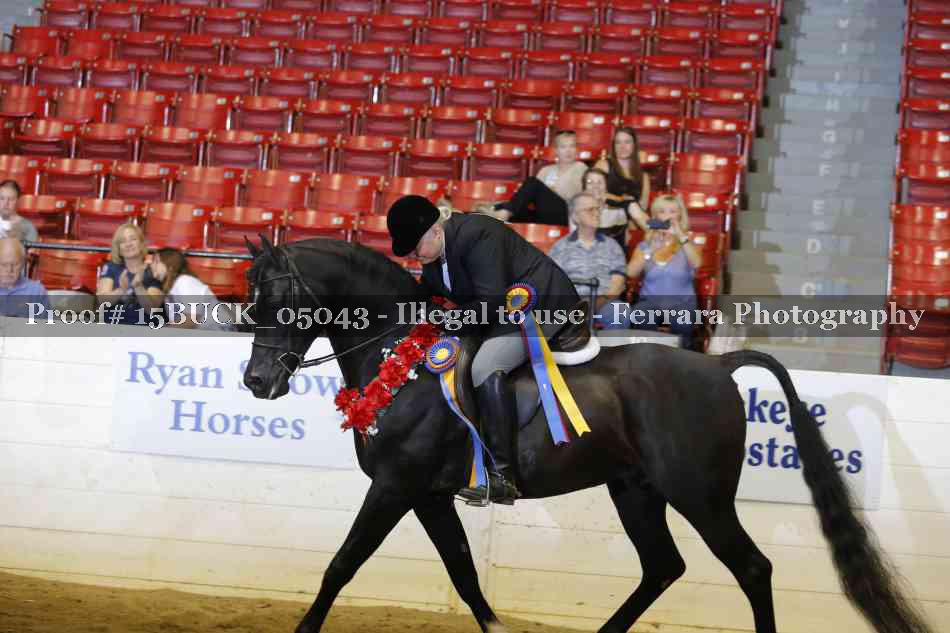 Proof 15BUCK_05043