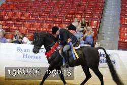 15BUCK_05043 proof