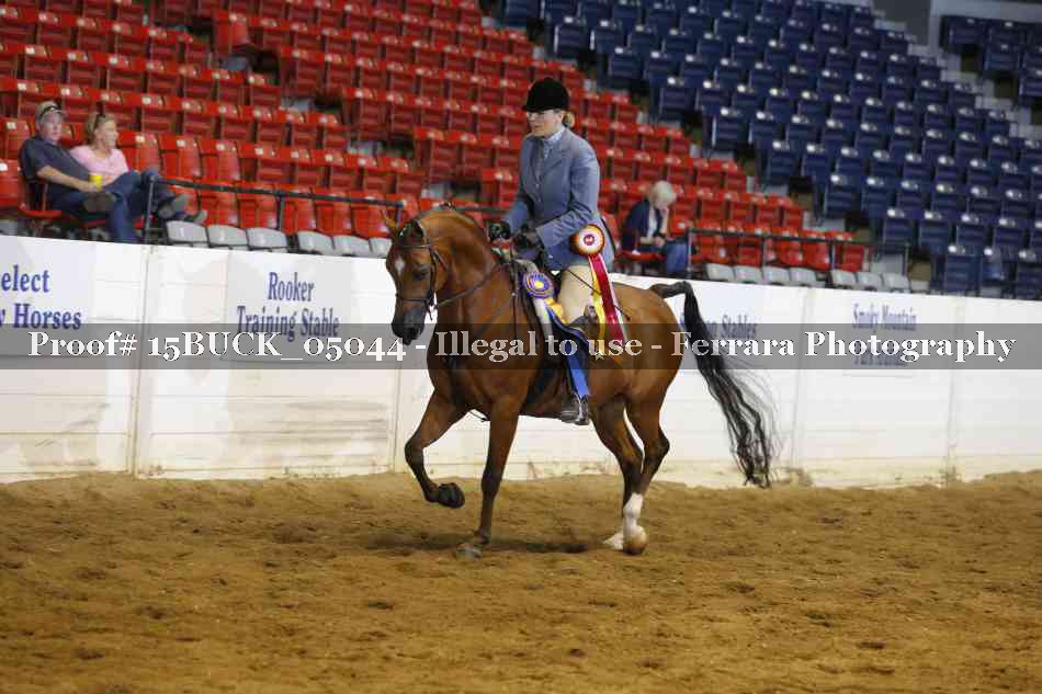 Proof 15BUCK_05044