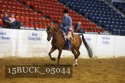 15BUCK_05044 proof