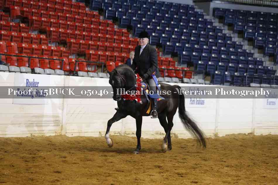 Proof 15BUCK_05046