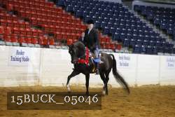 15BUCK_05046 proof