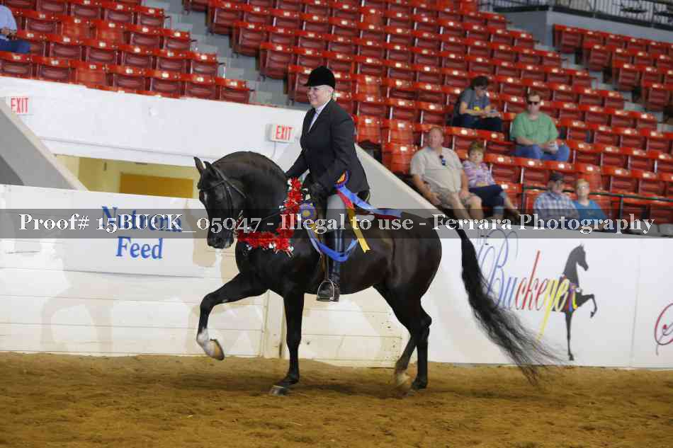 Proof 15BUCK_05047