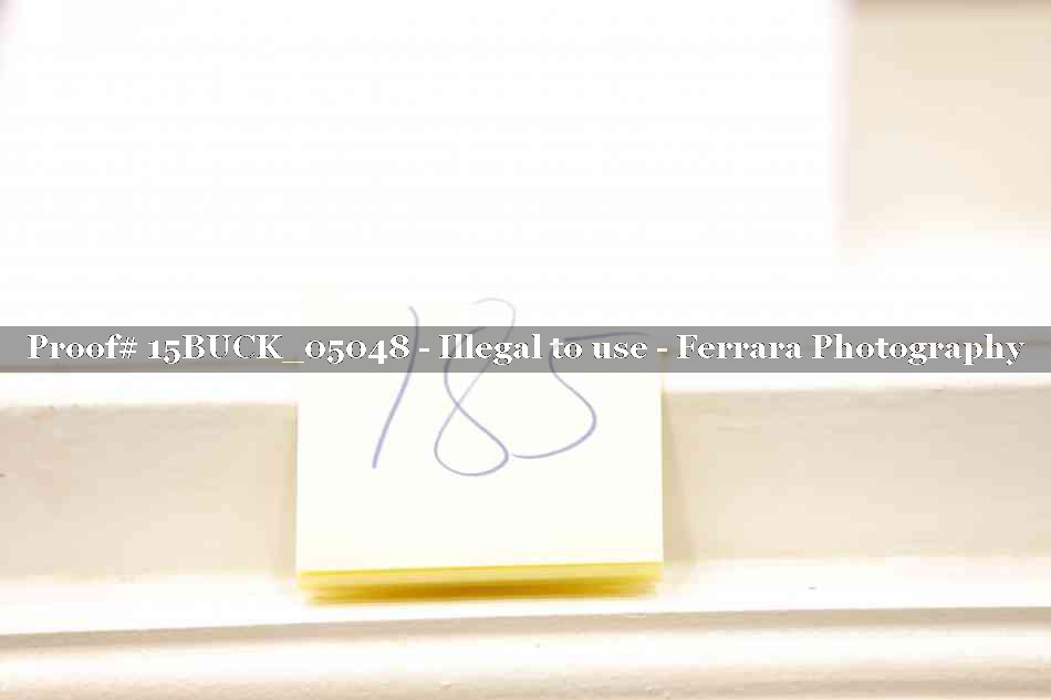 Proof 15BUCK_05048