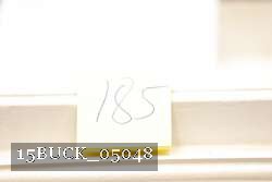 15BUCK_05048 proof