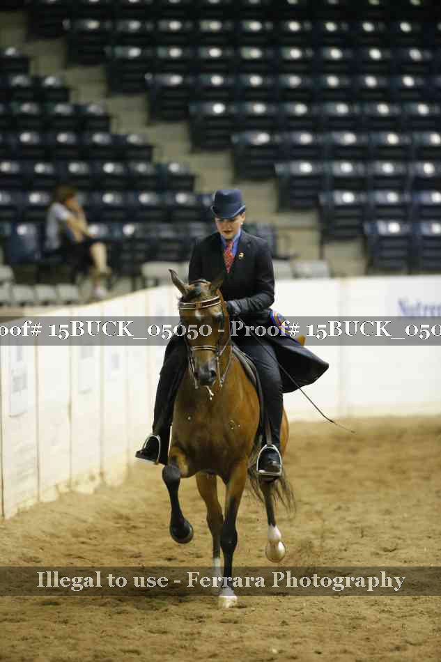 Proof 15BUCK_05050