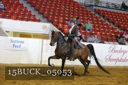 15BUCK_05053 proof