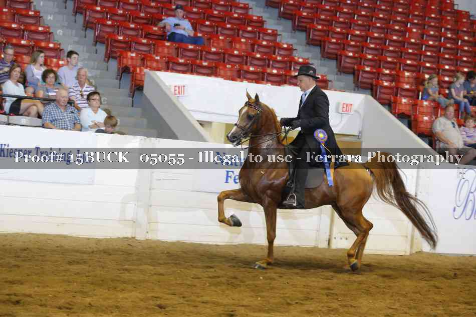 Proof 15BUCK_05055