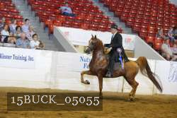 15BUCK_05055 proof