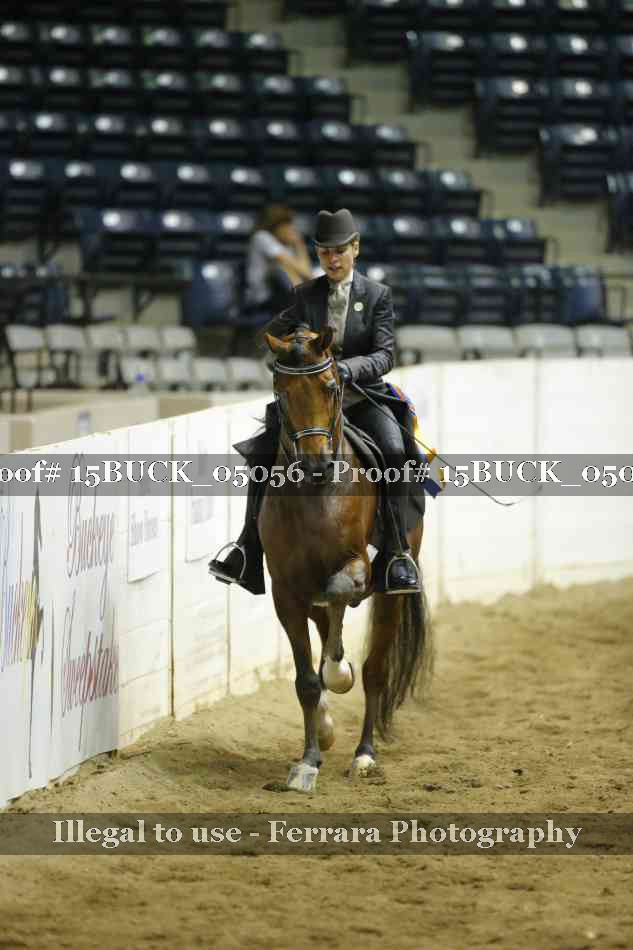 Proof 15BUCK_05056