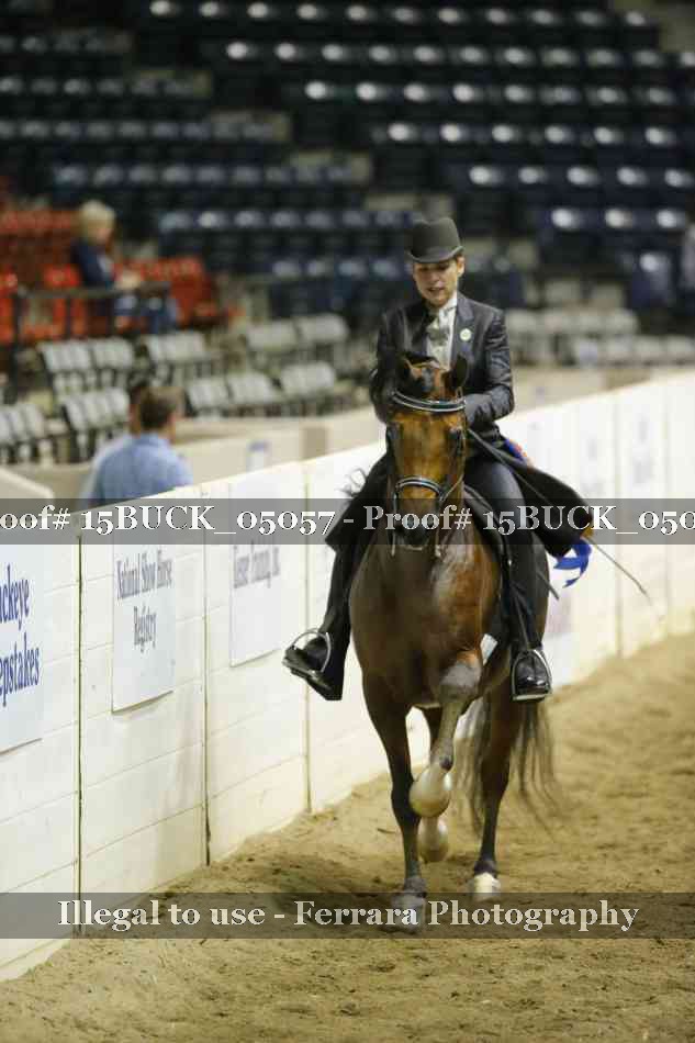 Proof 15BUCK_05057