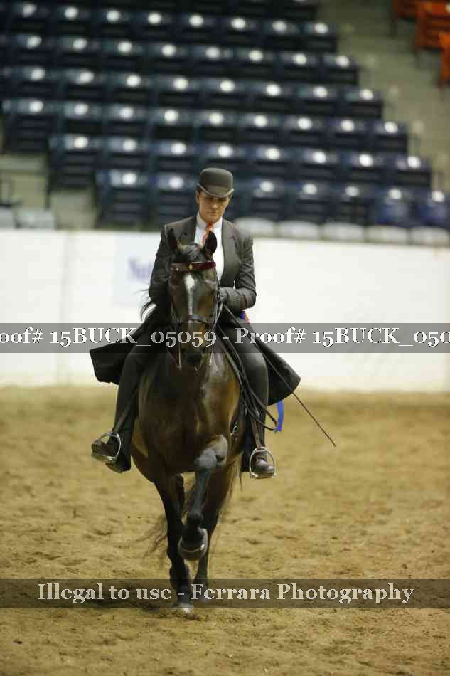 Proof 15BUCK_05059