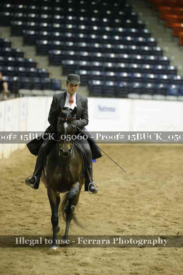 Proof 15BUCK_05060
