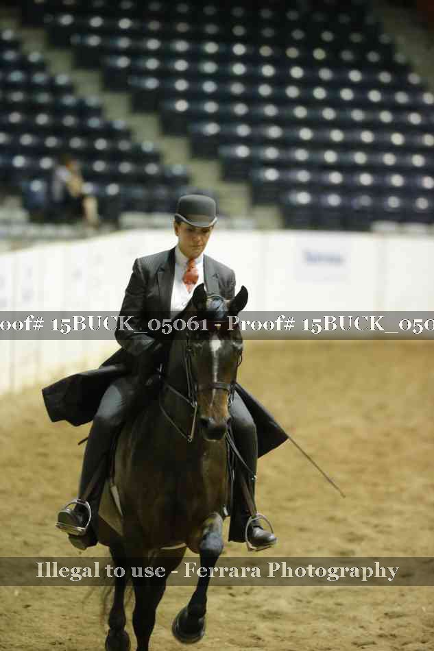 Proof 15BUCK_05061