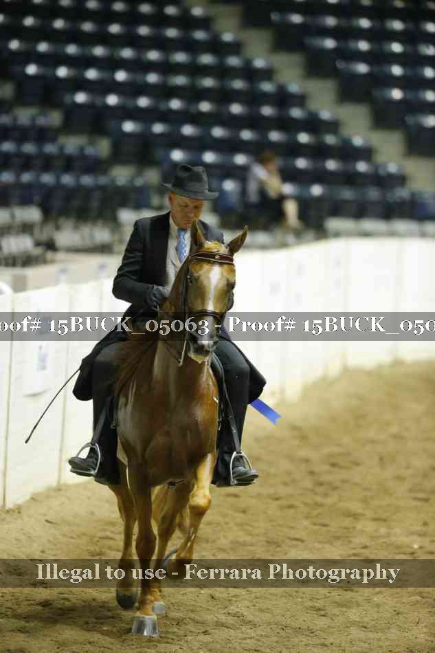 Proof 15BUCK_05063