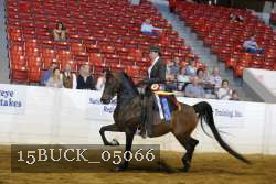15BUCK_05066 proof