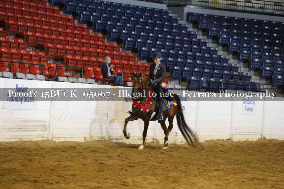 Proof 15BUCK_05067