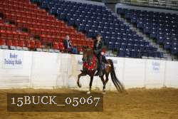 15BUCK_05067 proof