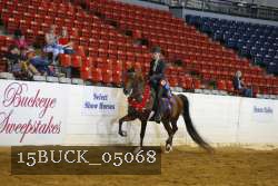 15BUCK_05068 proof