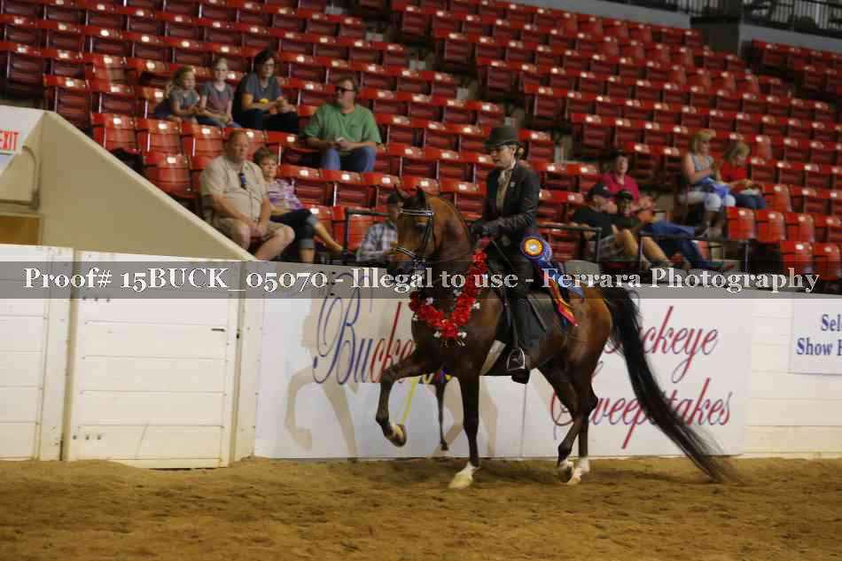 Proof 15BUCK_05070