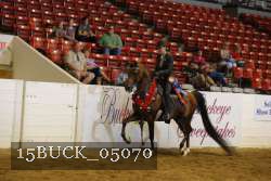 15BUCK_05070 proof