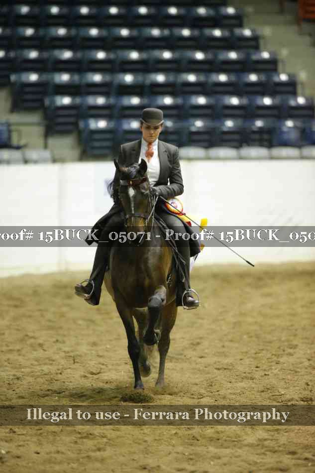 Proof 15BUCK_05071