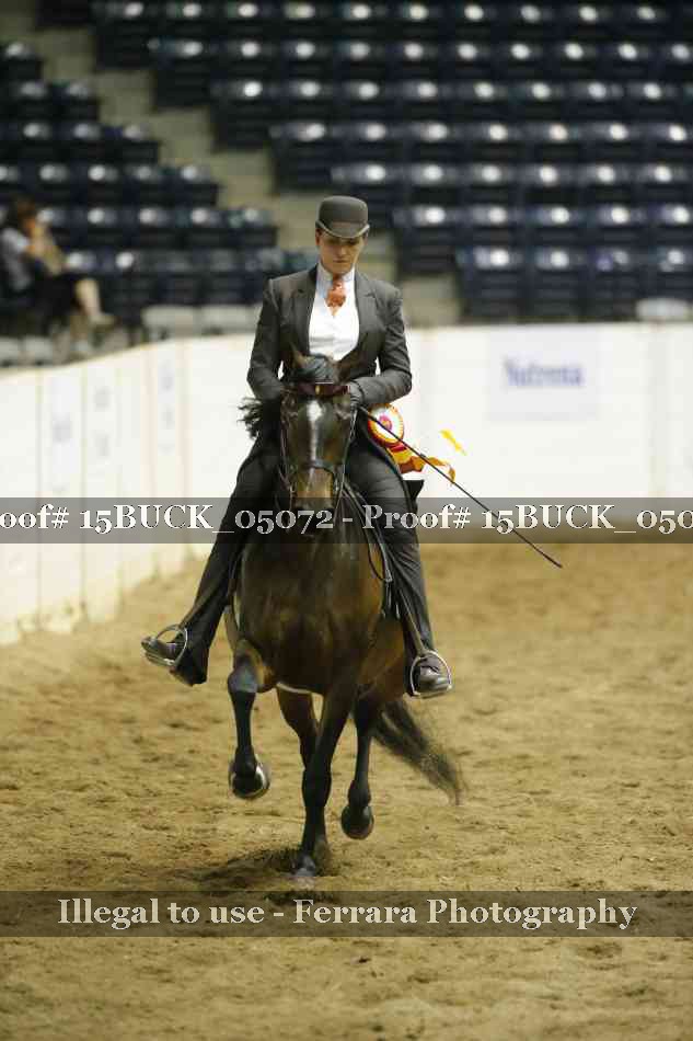 Proof 15BUCK_05072