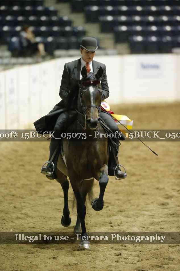 Proof 15BUCK_05073