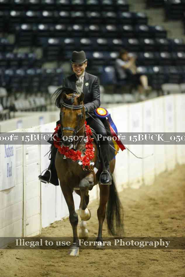 Proof 15BUCK_05074