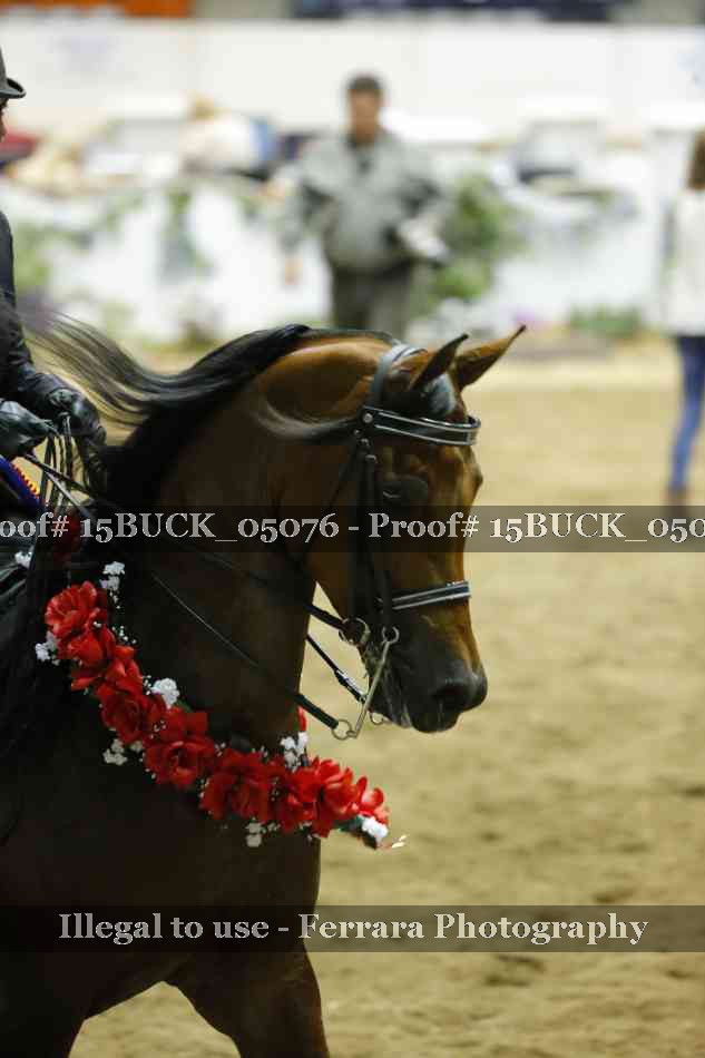 Proof 15BUCK_05076