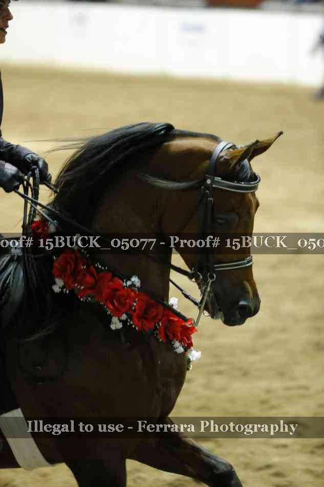 Proof 15BUCK_05077