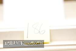 15BUCK_05078 proof