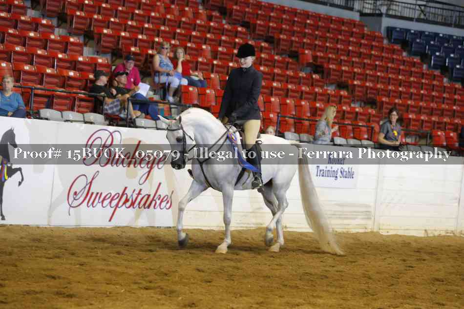 Proof 15BUCK_05079