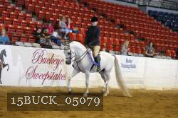 15BUCK_05079 proof