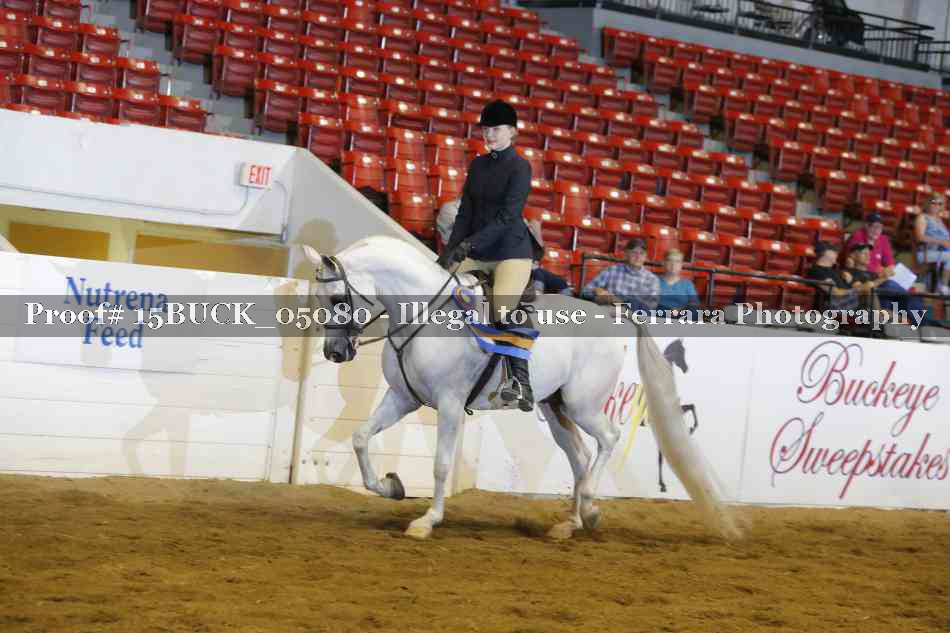 Proof 15BUCK_05080