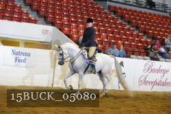 15BUCK_05080 proof