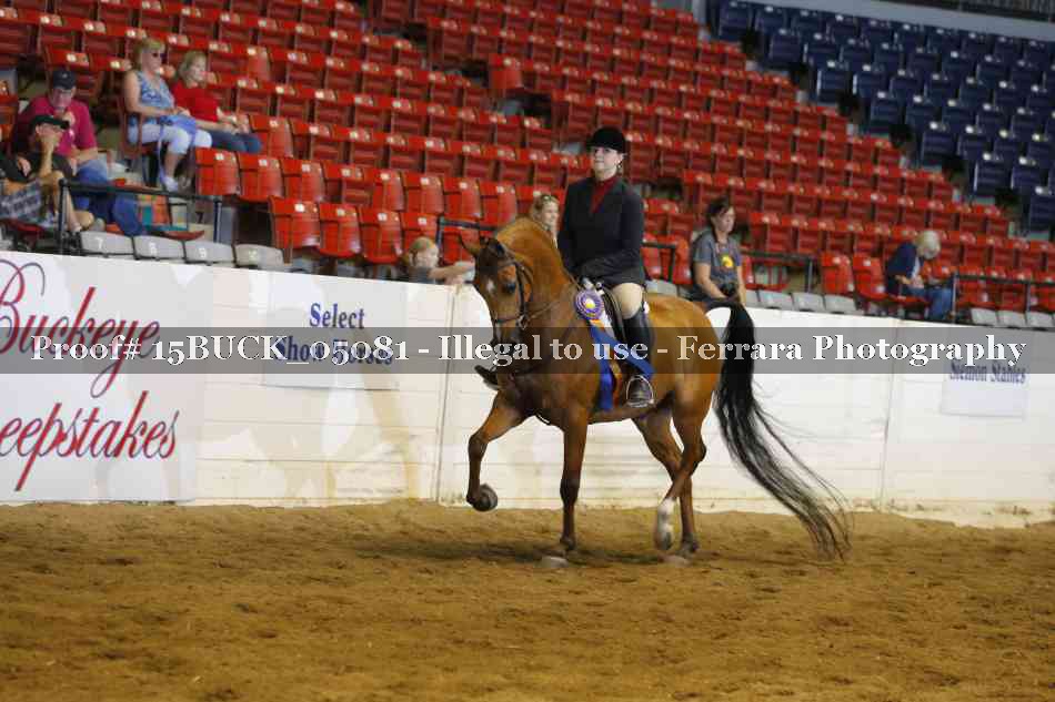 Proof 15BUCK_05081