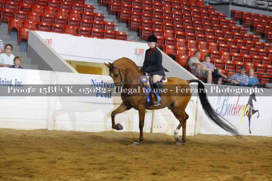 Proof 15BUCK_05082
