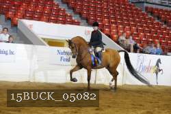 15BUCK_05082 proof