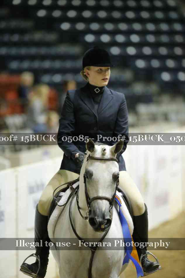 Proof 15BUCK_05085
