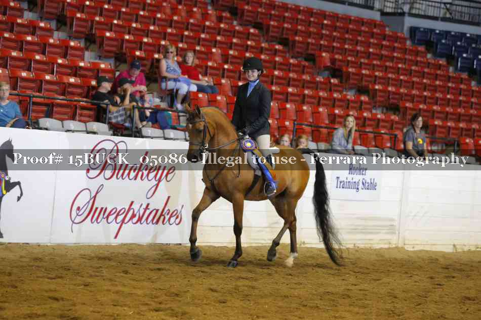Proof 15BUCK_05086