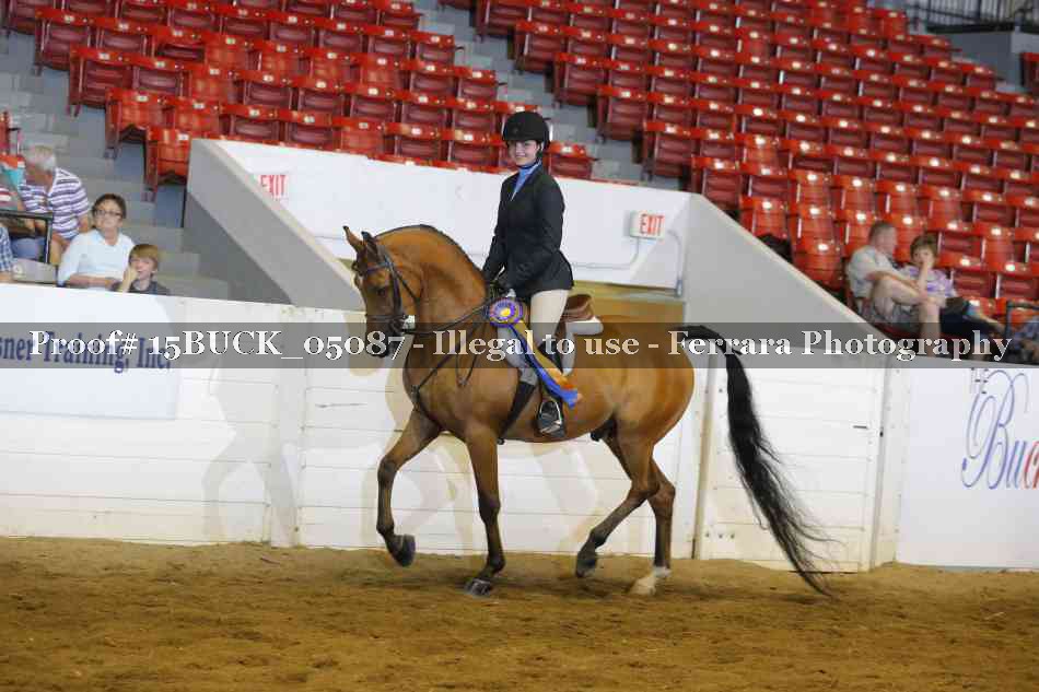 Proof 15BUCK_05087