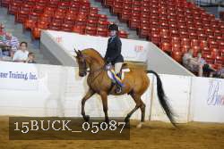 15BUCK_05087 proof