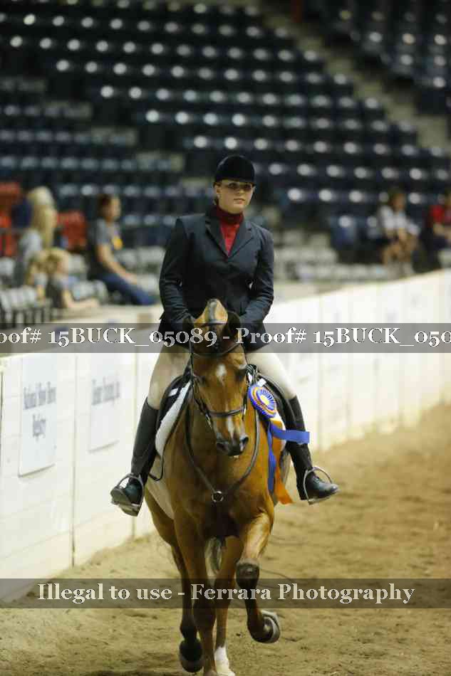 Proof 15BUCK_05089