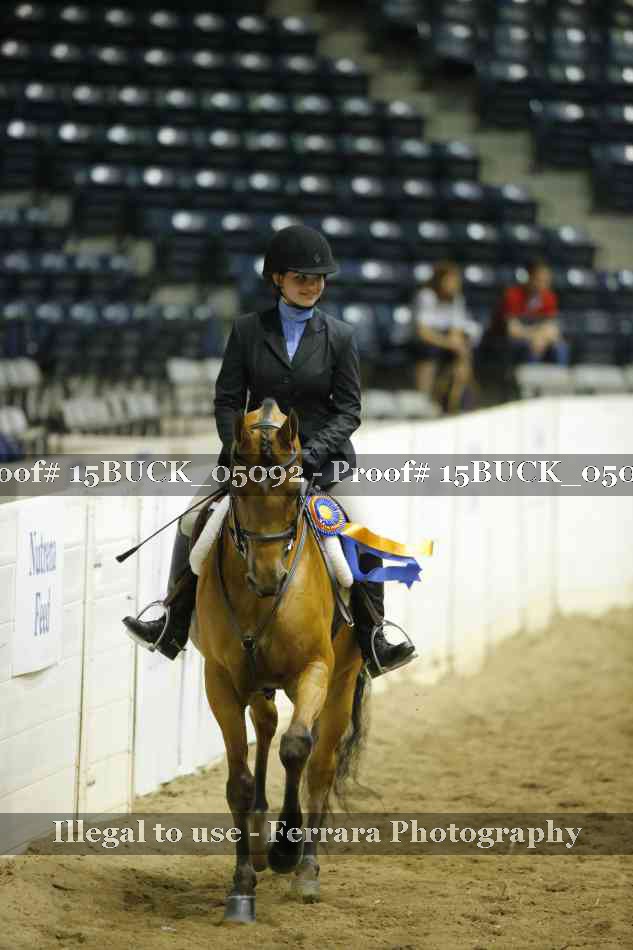 Proof 15BUCK_05092