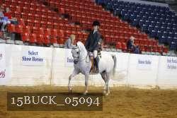 15BUCK_05094 proof