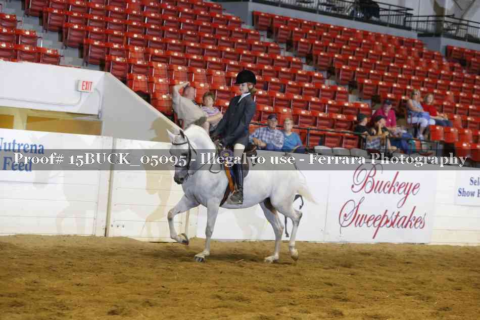 Proof 15BUCK_05095